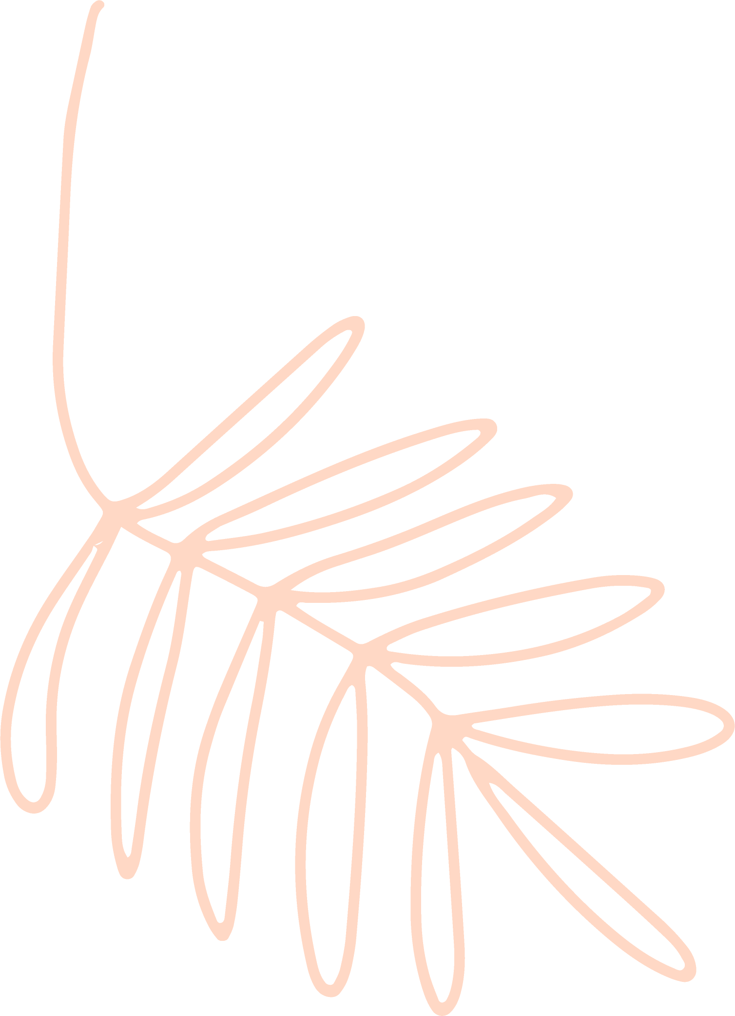 Cream graphic element 04