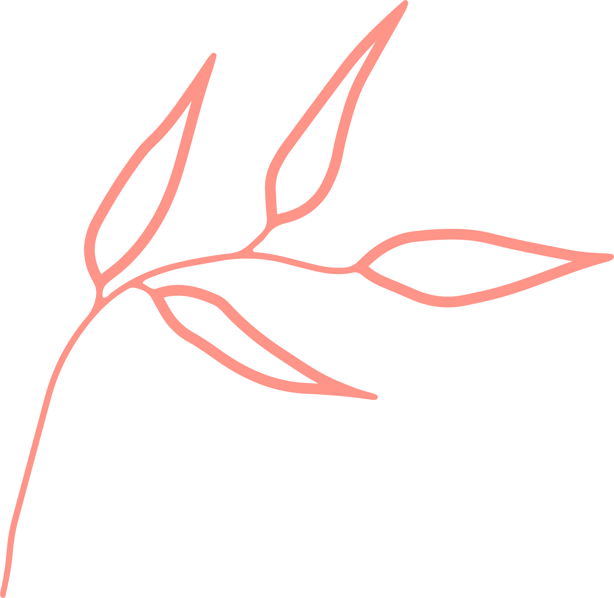 Salmon graphic element 05